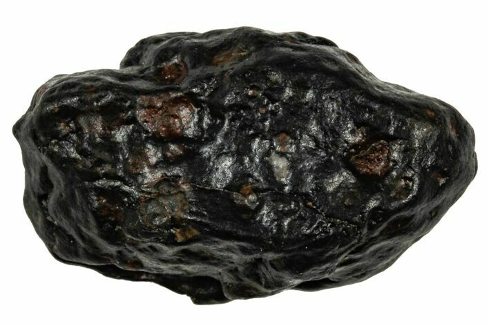 Chondrite Meteorite ( g) - NWA #333056